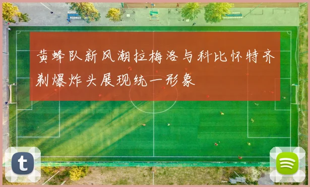 黄蜂队新风潮拉梅洛与科比怀特齐剃爆炸头展现统一形象