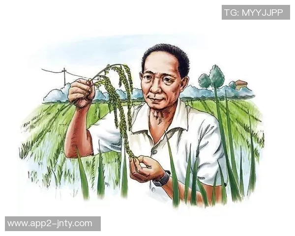 张佳玮解读文班与科内特卡斯尔的深层意义与最后时刻的无理较量